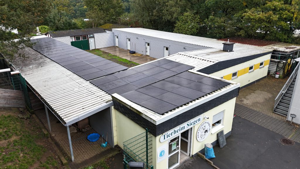 Photovoltaik Tierheim Siegen Hundehaus